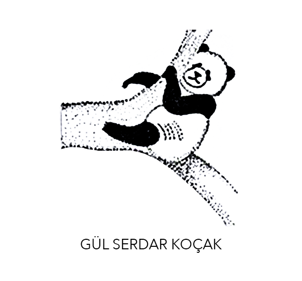 ÇİZİMLERİM
